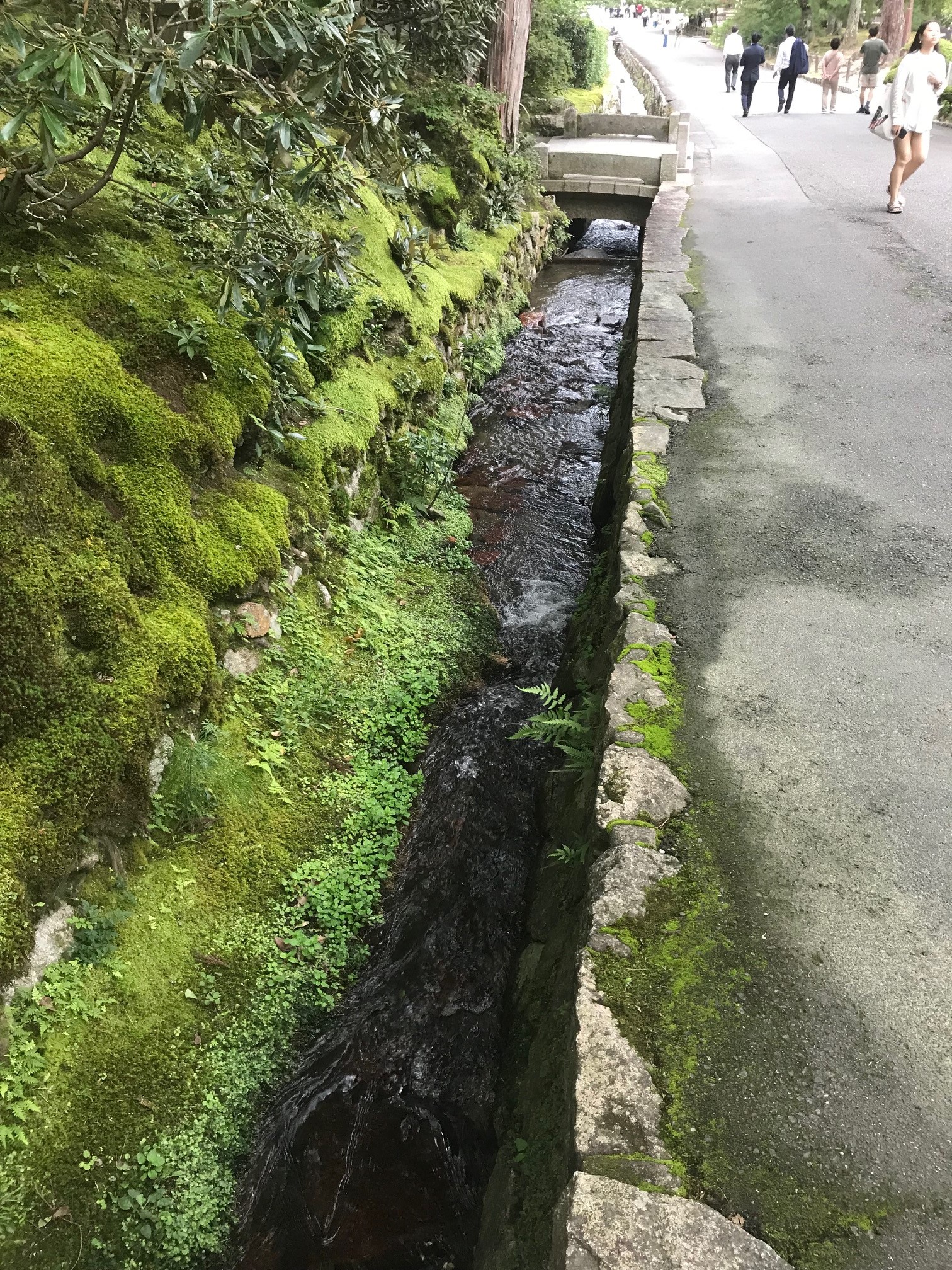 190924　南禅寺の水路