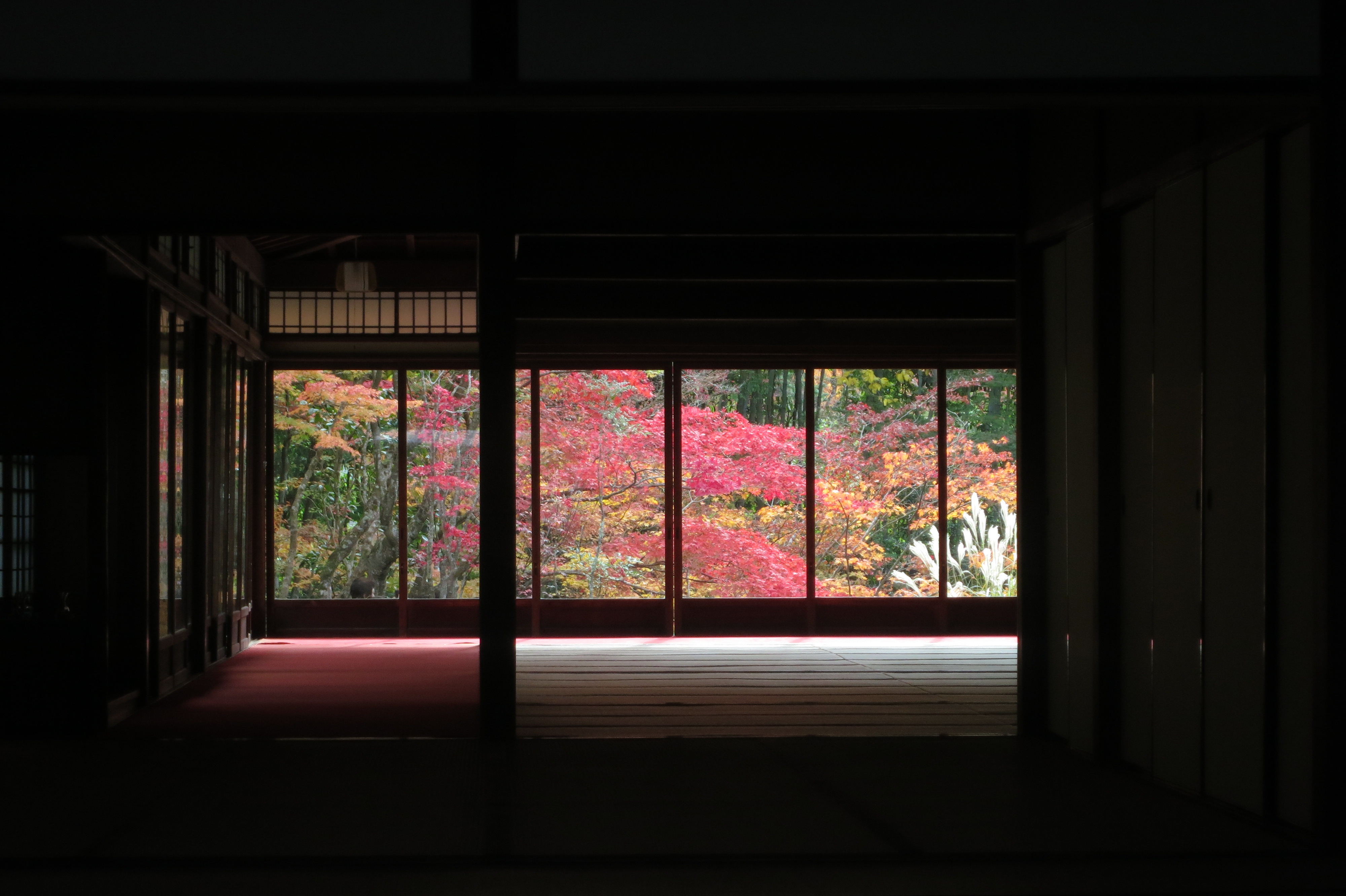 200127　南禅寺 天授庵の紅葉