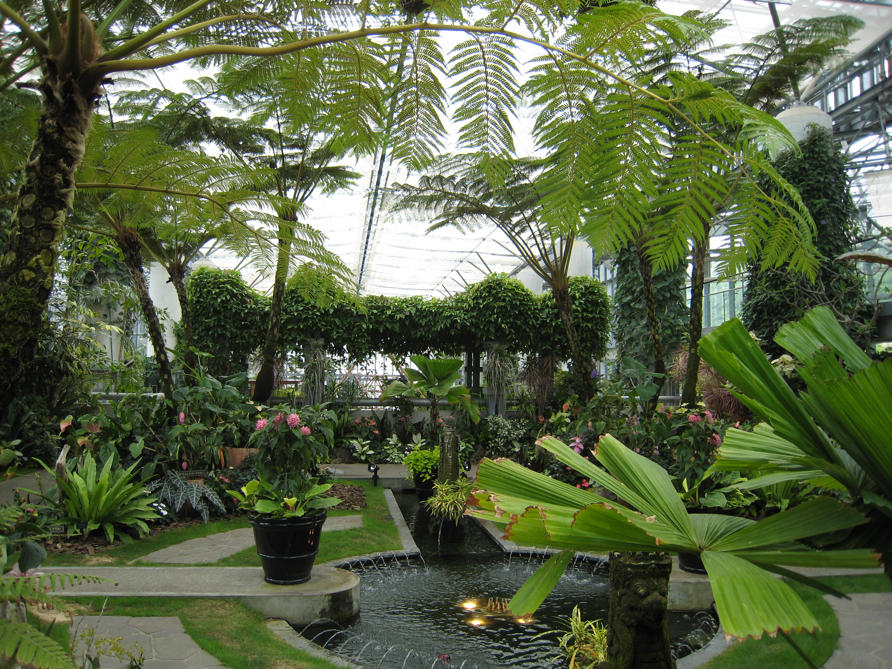 200325　淡路島　奇跡の星の植物園