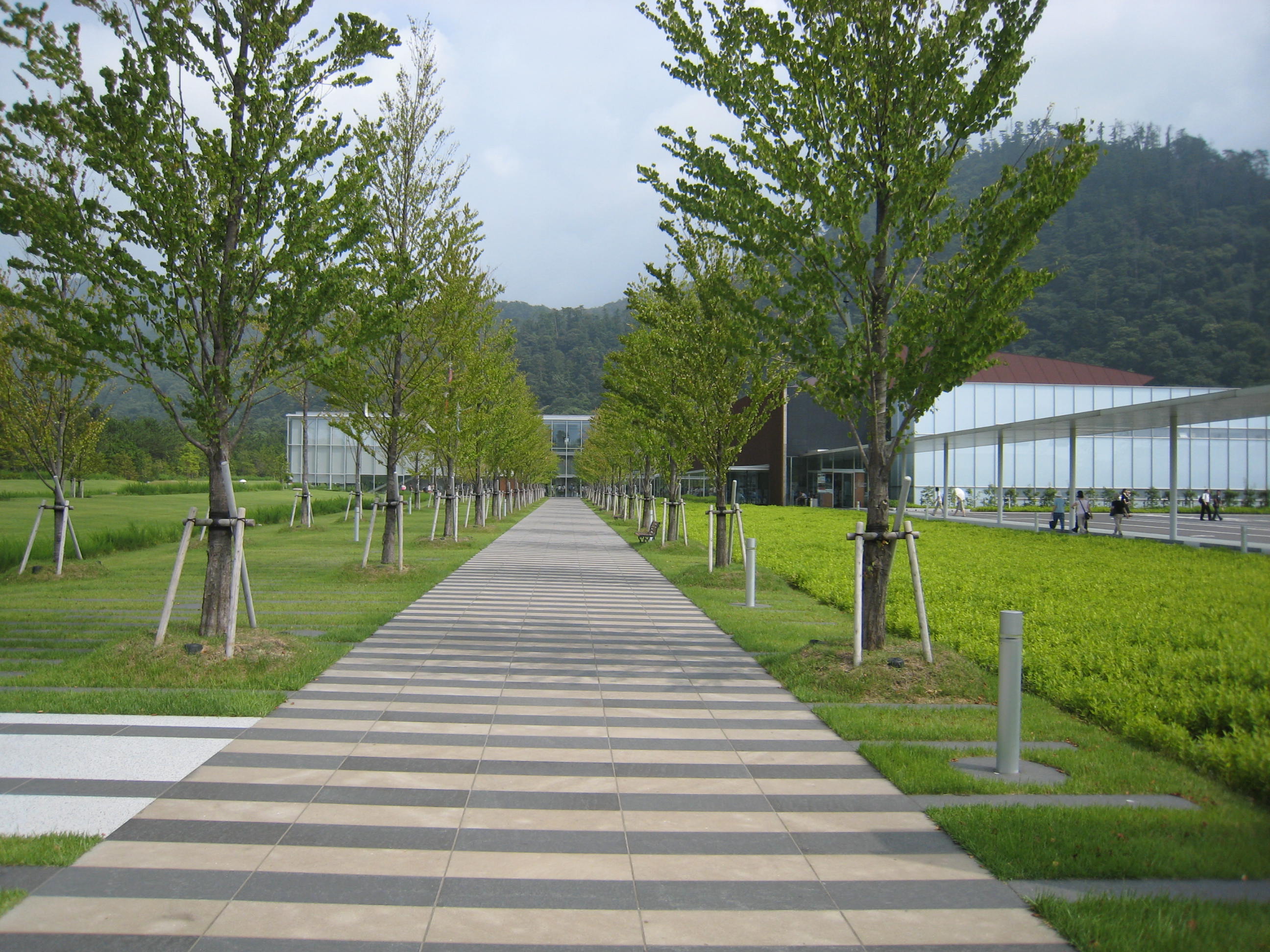 200630　島根県立古代出雲歴史博物館