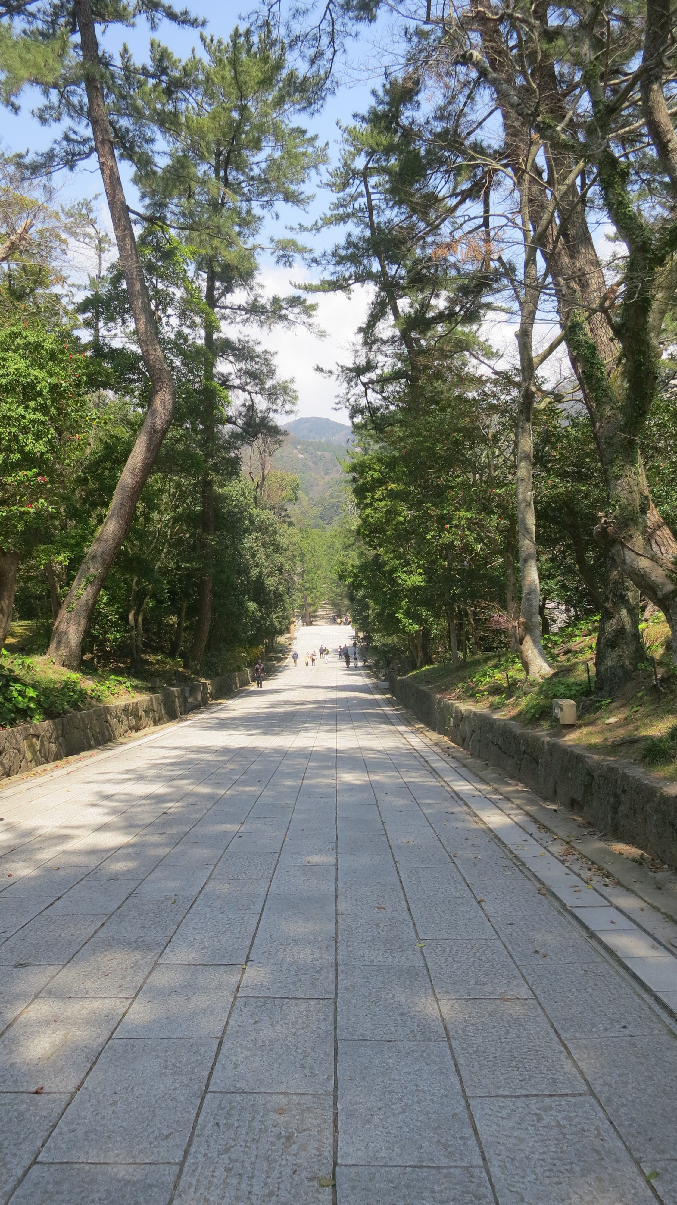 200608　出雲大社の参道