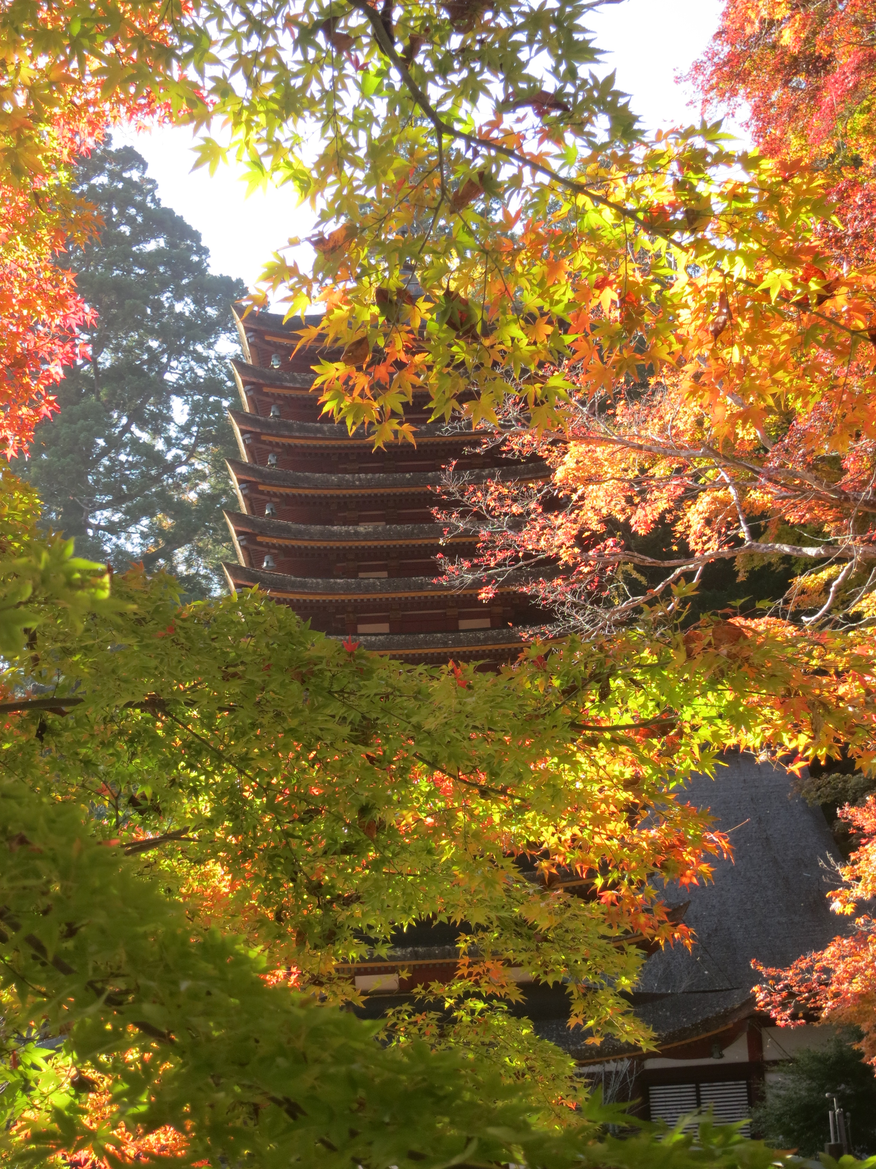 201124　談山神社　紅葉　