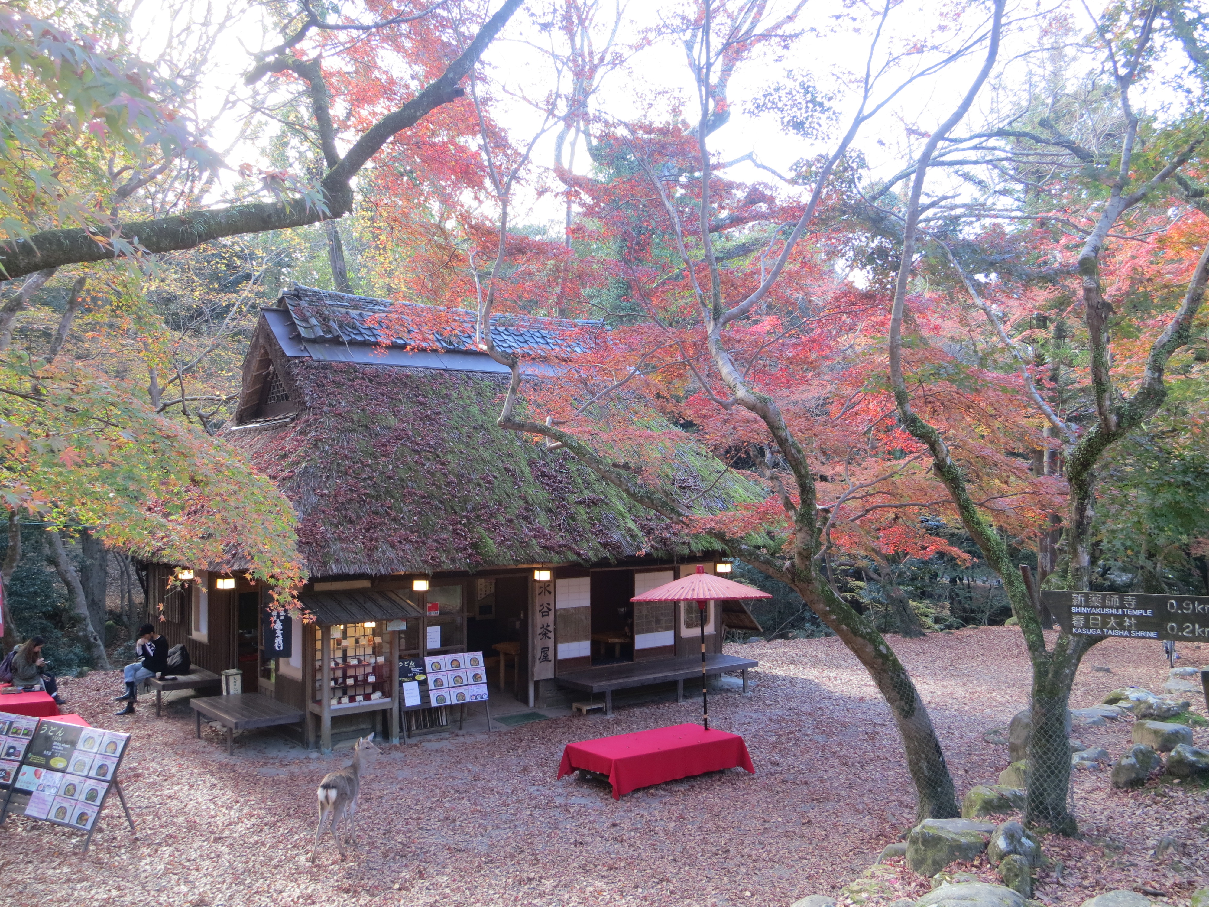 201207　春日大社　水谷茶屋