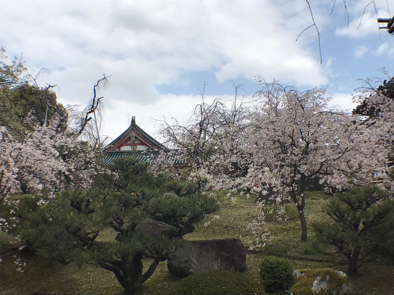 210415　平安神宮2