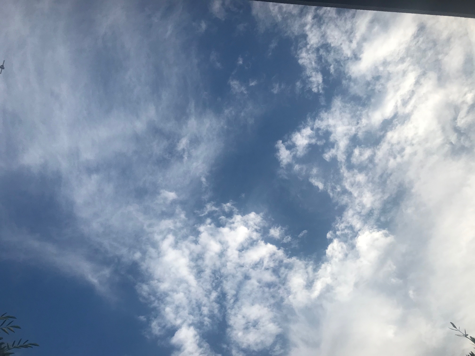 210622　夏空