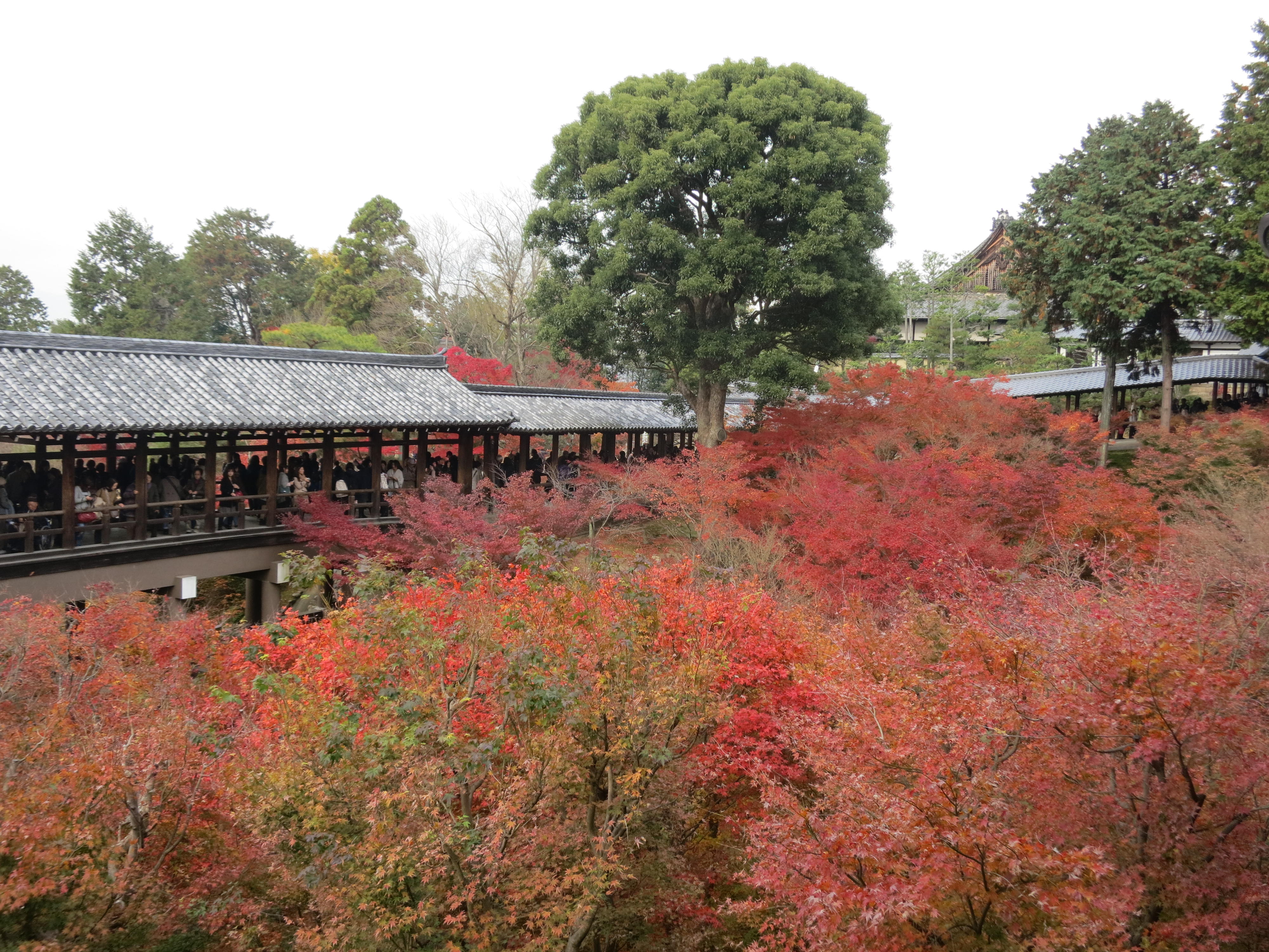 211026　京都　東福寺　通天橋