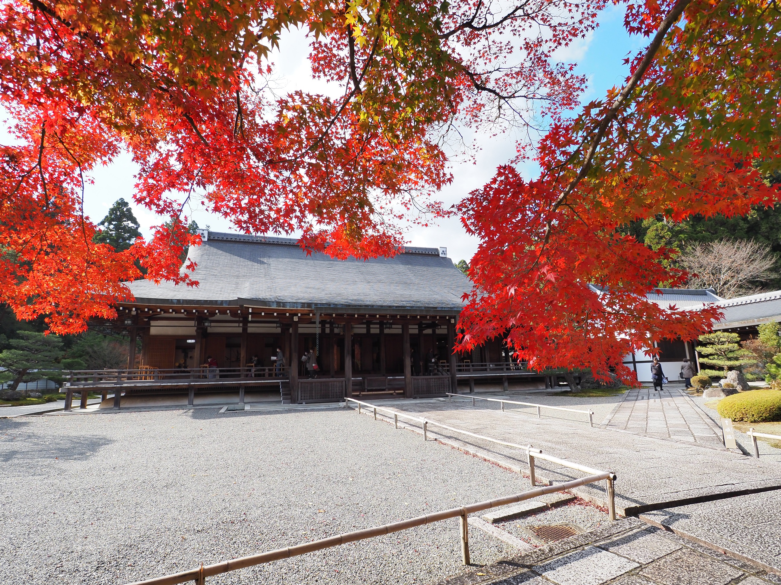 211215　京都　西芳寺（苔寺）紅葉