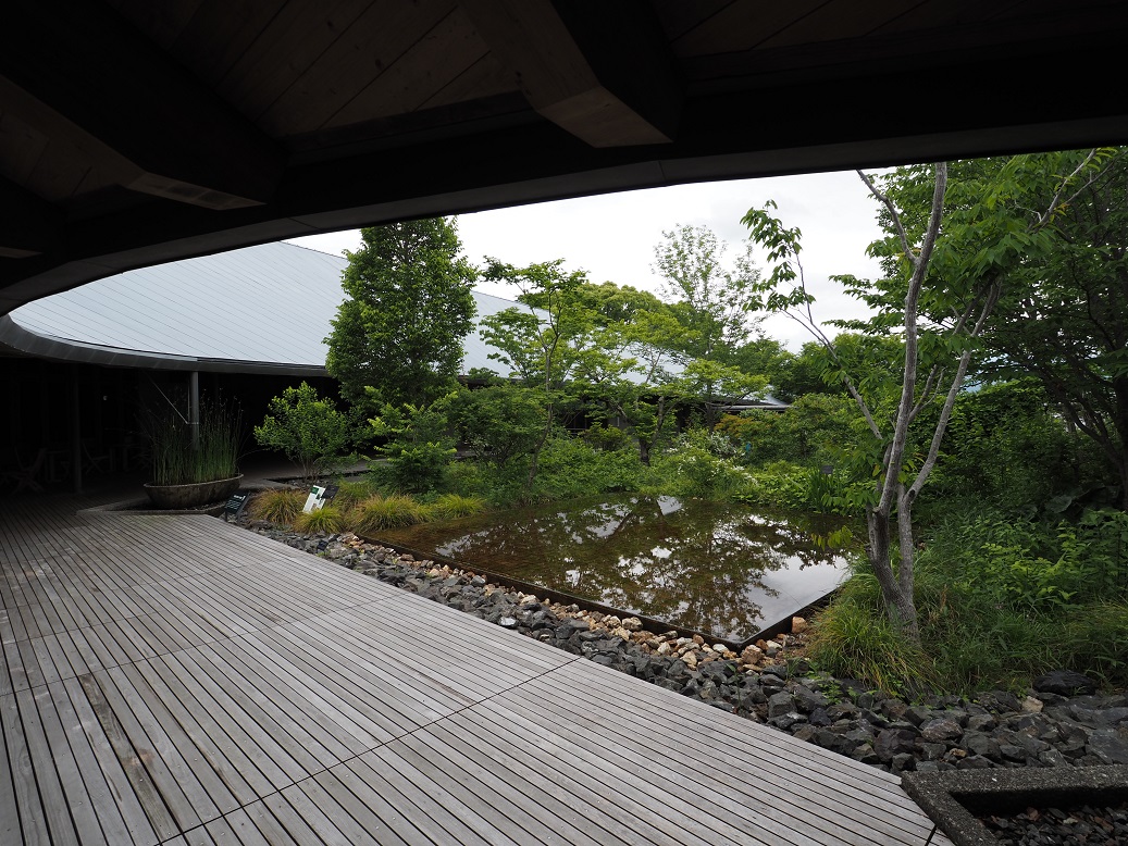 220606　高知　「牧野富太郎記念館」