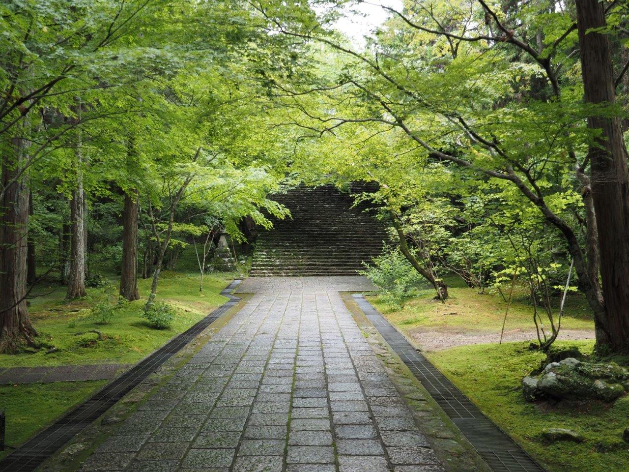 220603　高知　「竹林寺」　新緑