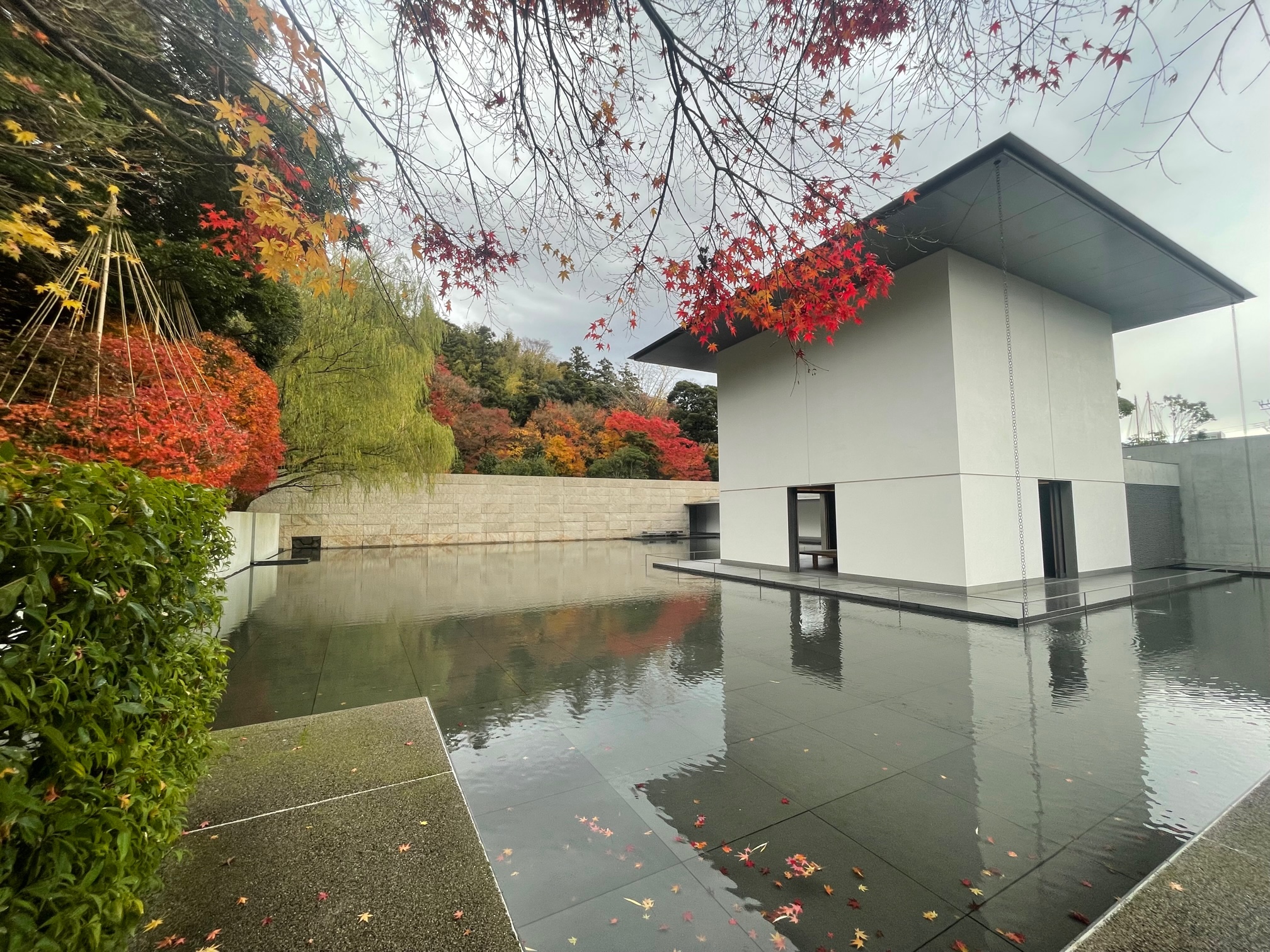 221215　金沢「鈴木大拙館」