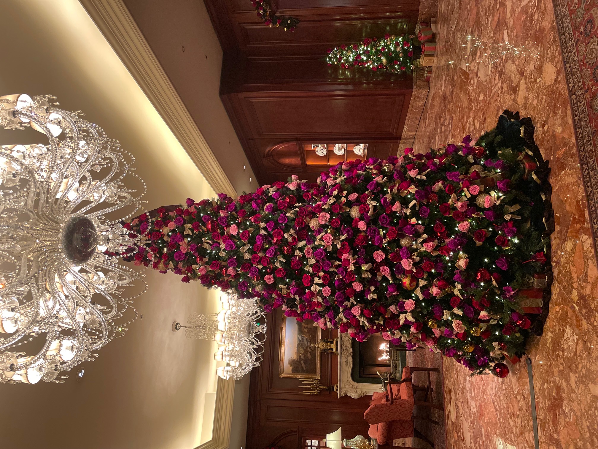 221223　メリークリスマス