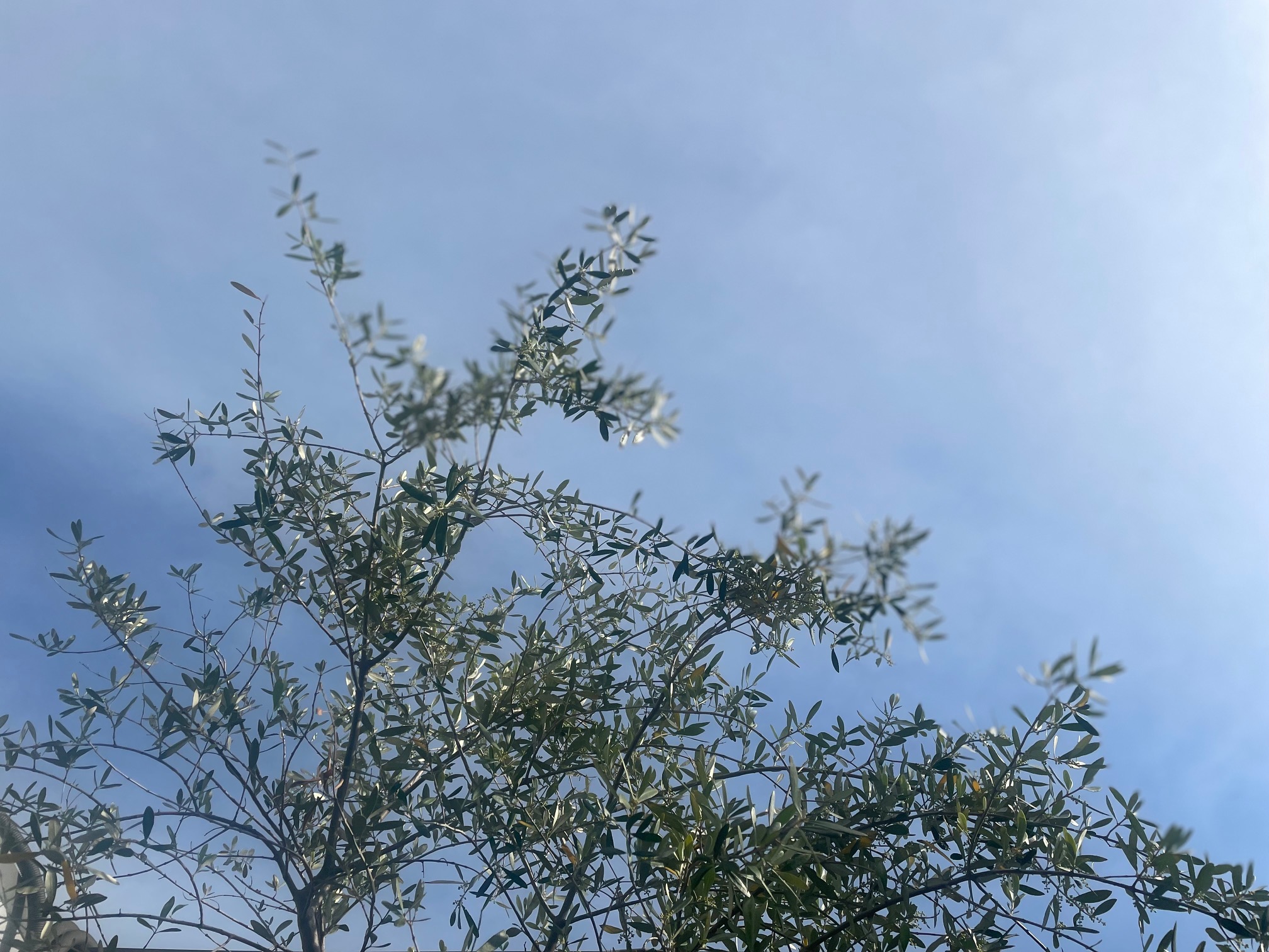 230515　青空