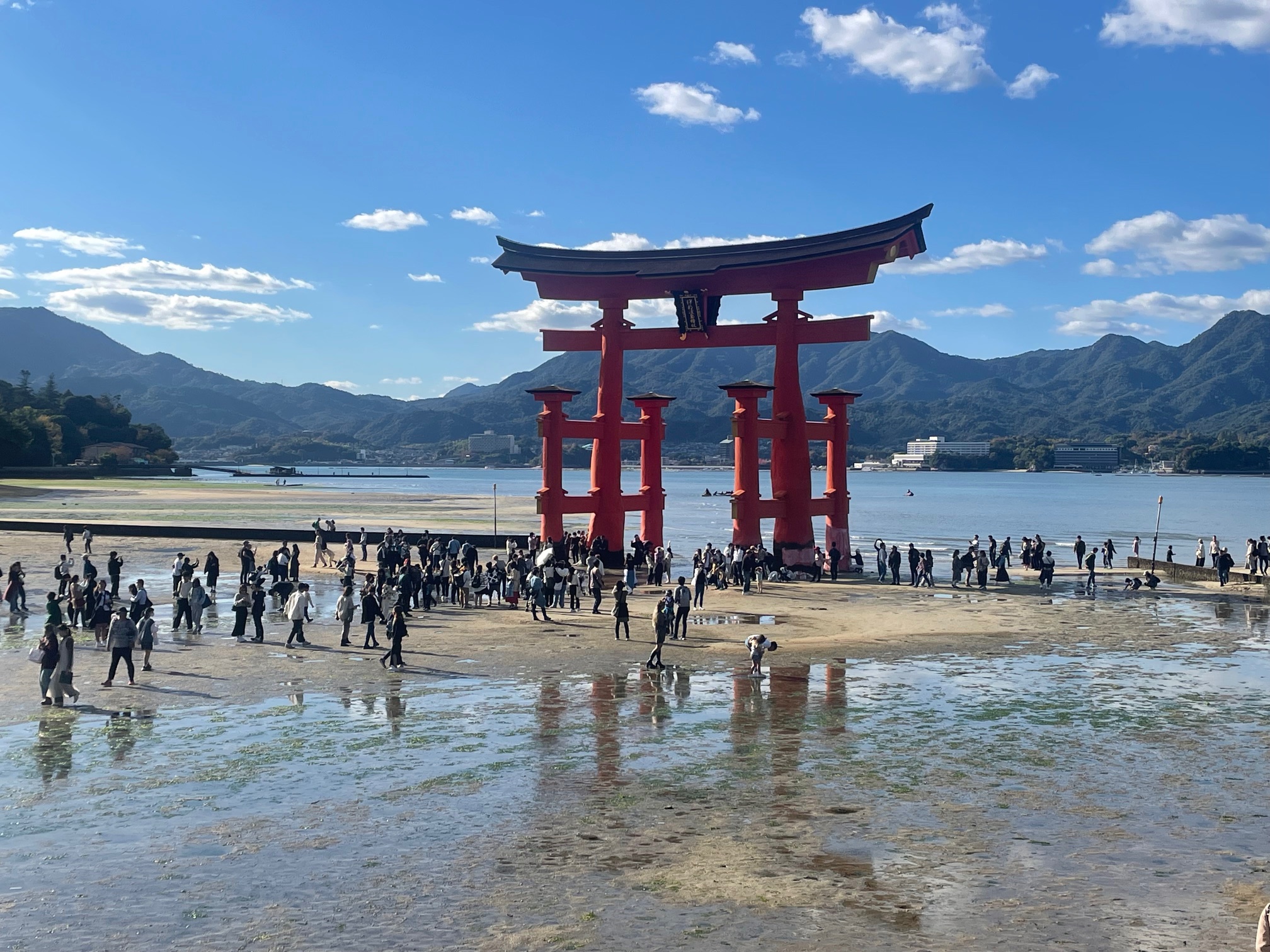 231116　厳島神社　大鳥居（干潮時）