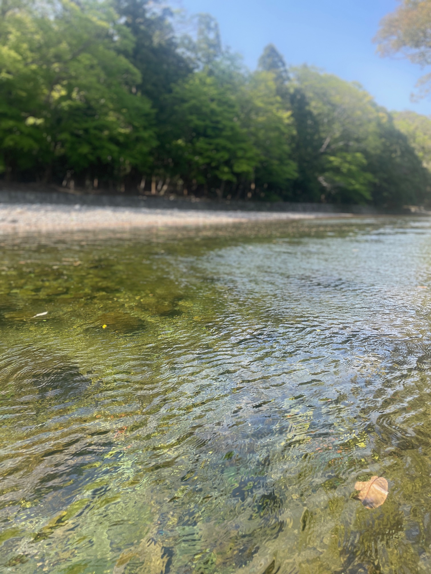 240516　伊勢神宮２