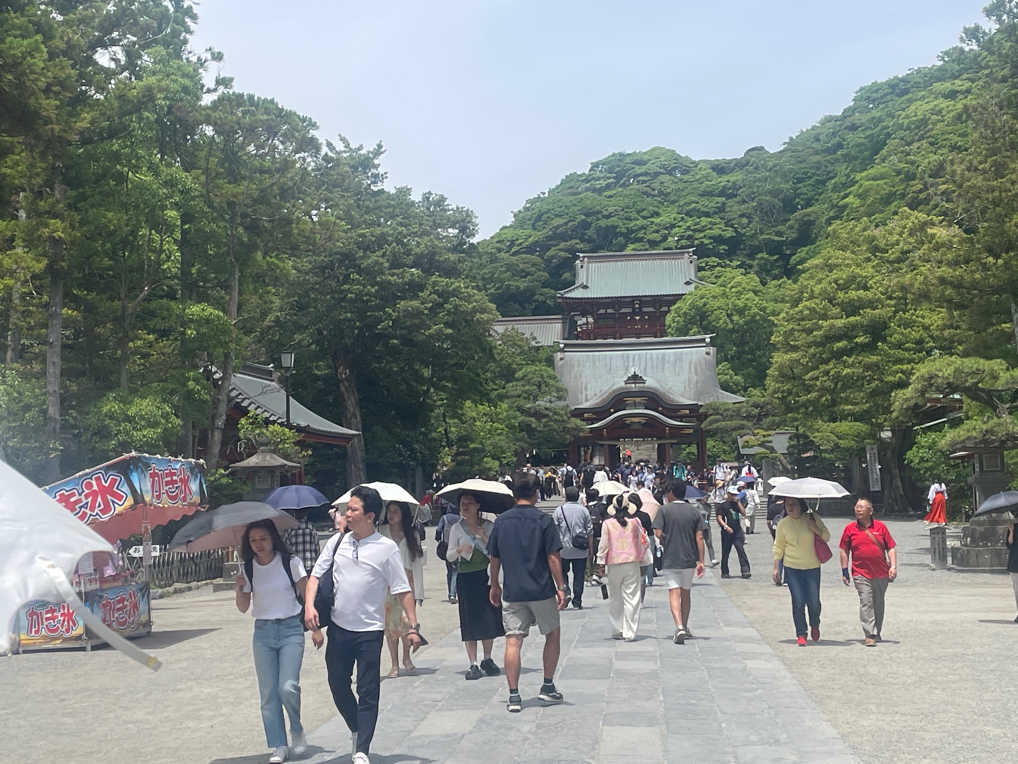 240614　鎌倉「鶴岡八幡宮」１