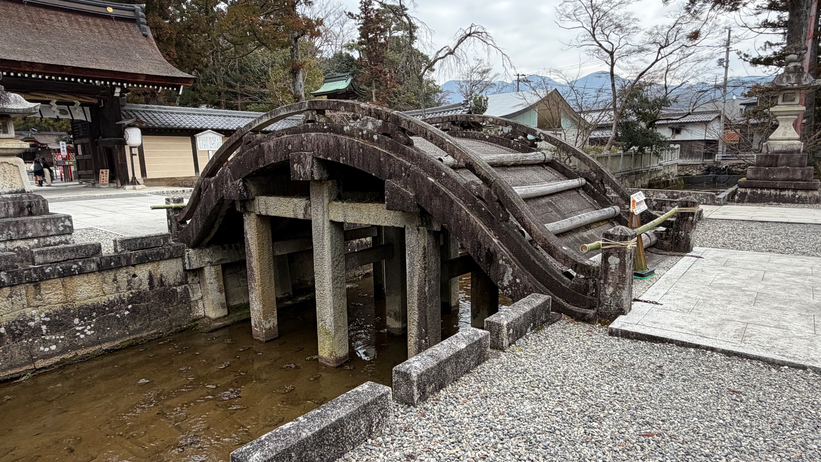 260306 多賀大社2