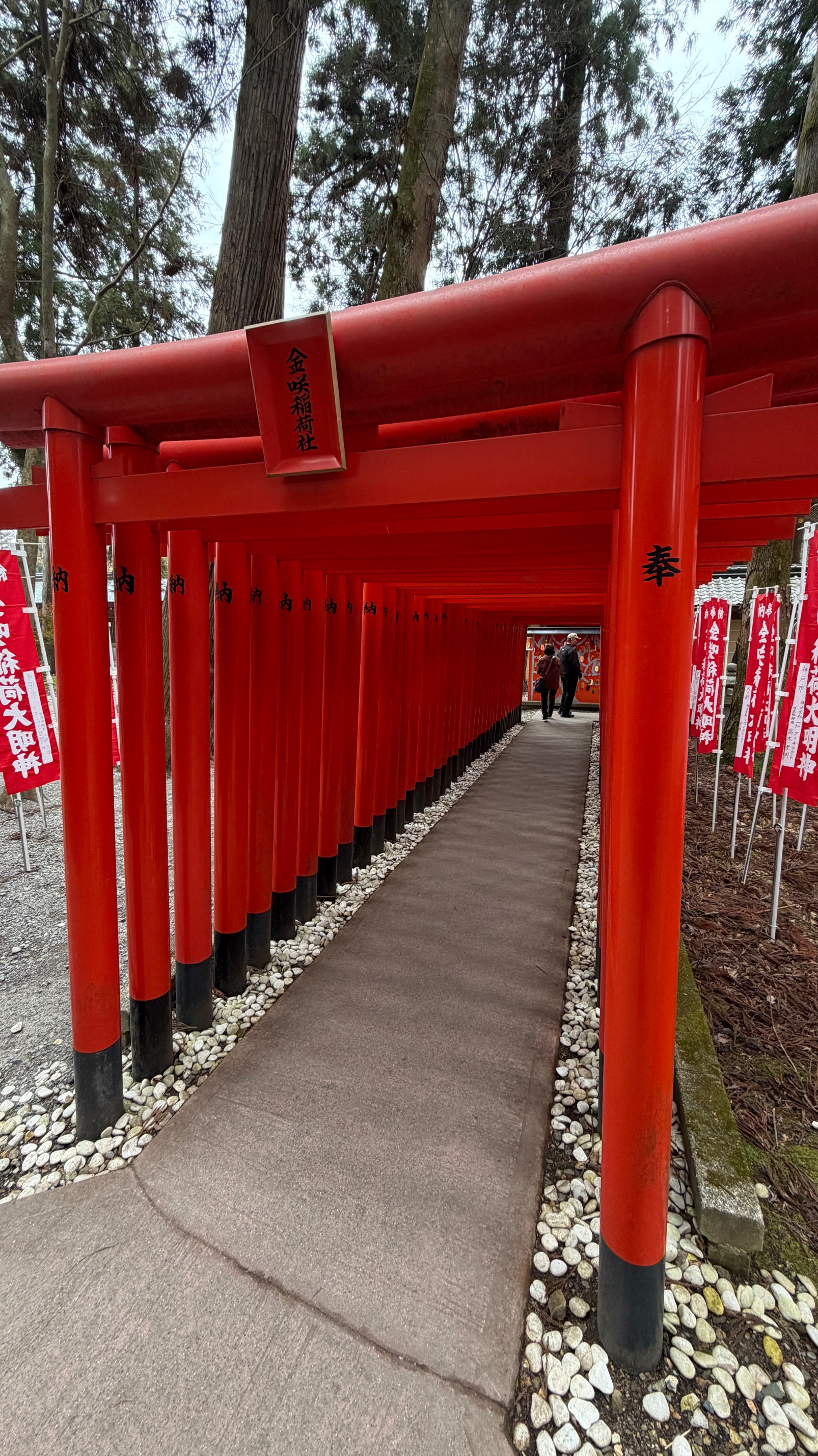 260310 多賀大社4