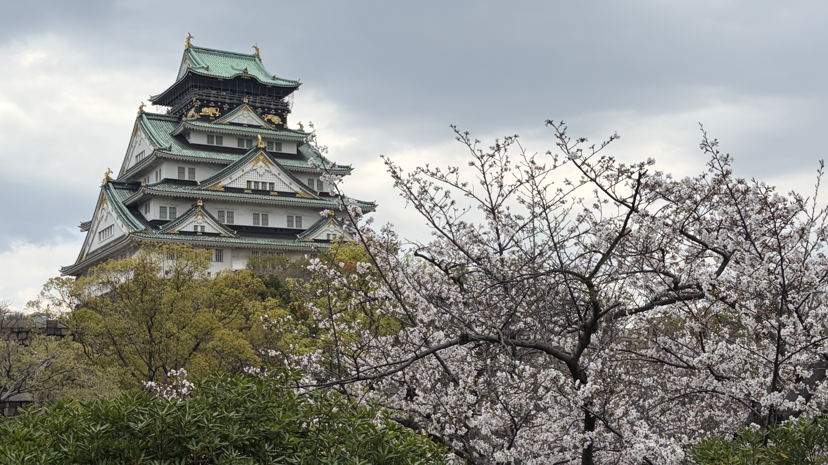 260407　桜の大阪城